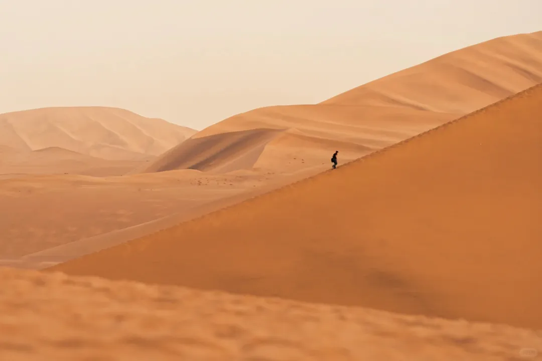 006ea4ad48b4c1bf8bb1b327159514fe-sz_110393