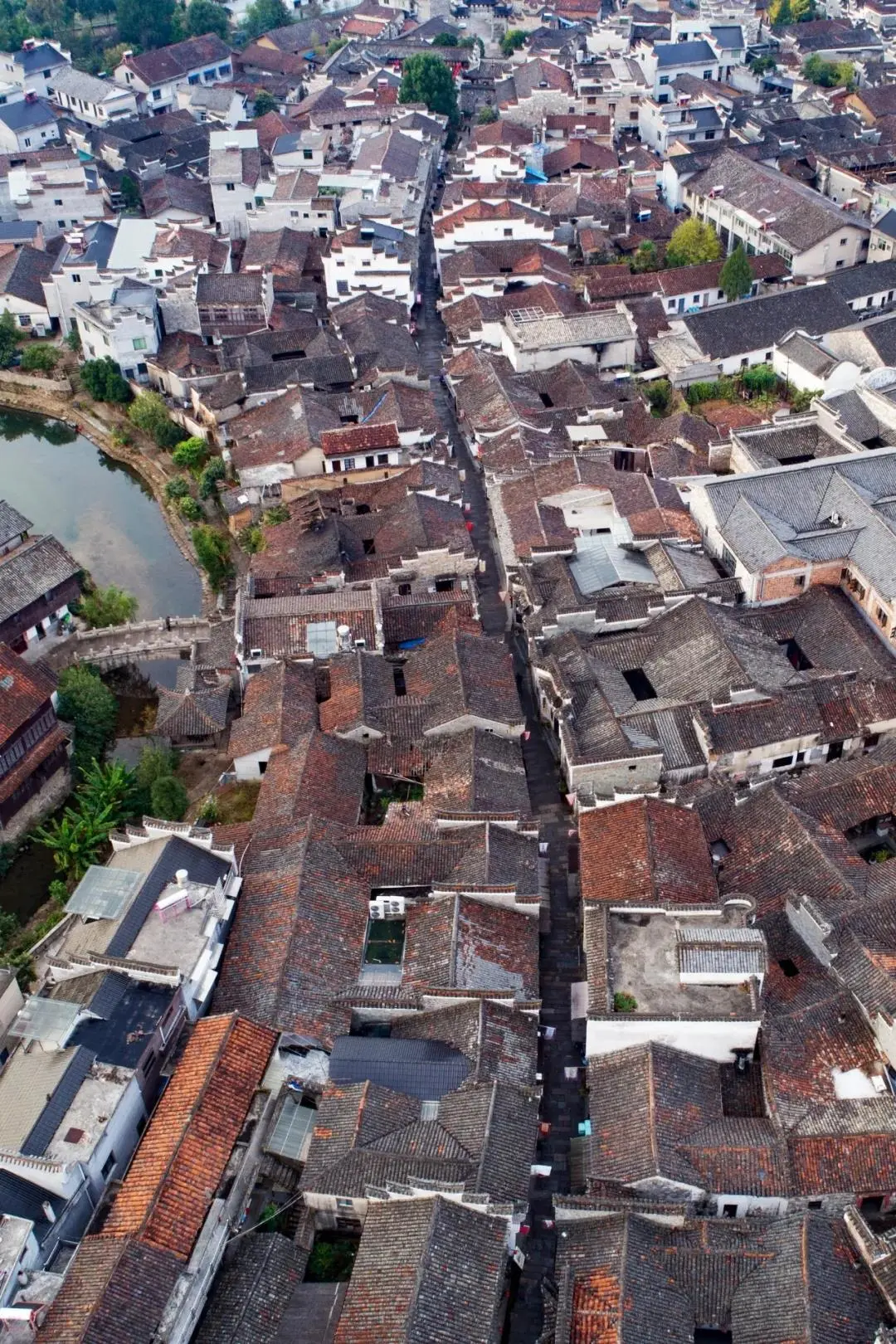 006ebefdd6de6d255846e73abbaa7052-sz_421478