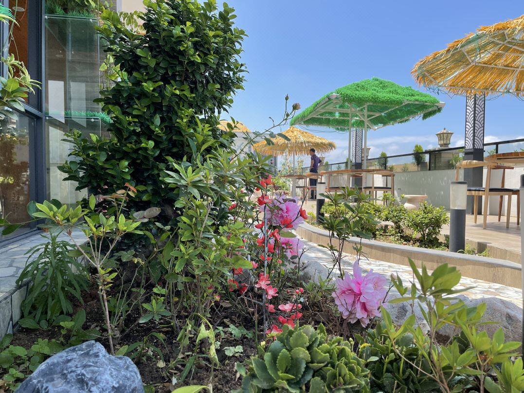 00705b0c5c41e72c12387af3bc1317b8-sz_236904