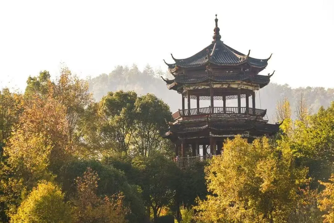 007483d77bfb8a8b5bcc7d506329166a-sz_1430892