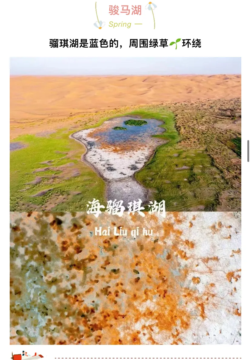 00fb68a55c4e23ac95508fb5467a64d7-sz_994297 00fb68a55c4e23ac95508fb5467a64d7-sz_994297