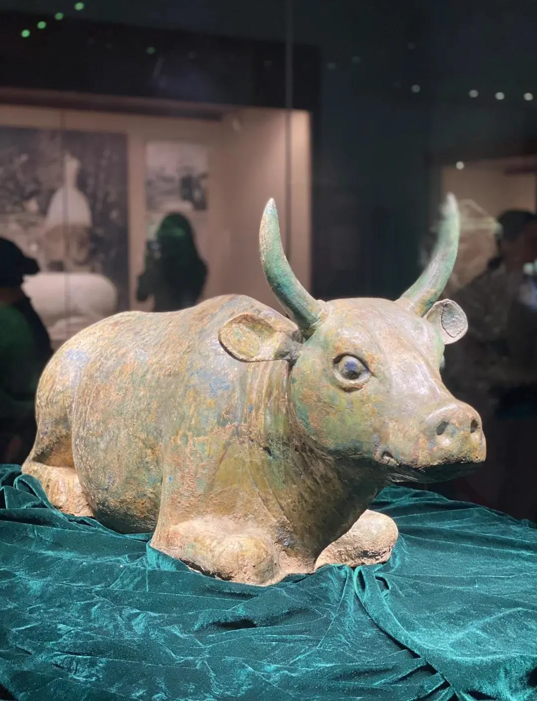 01137799a8766412099d5434ca12aafa-sz_205625