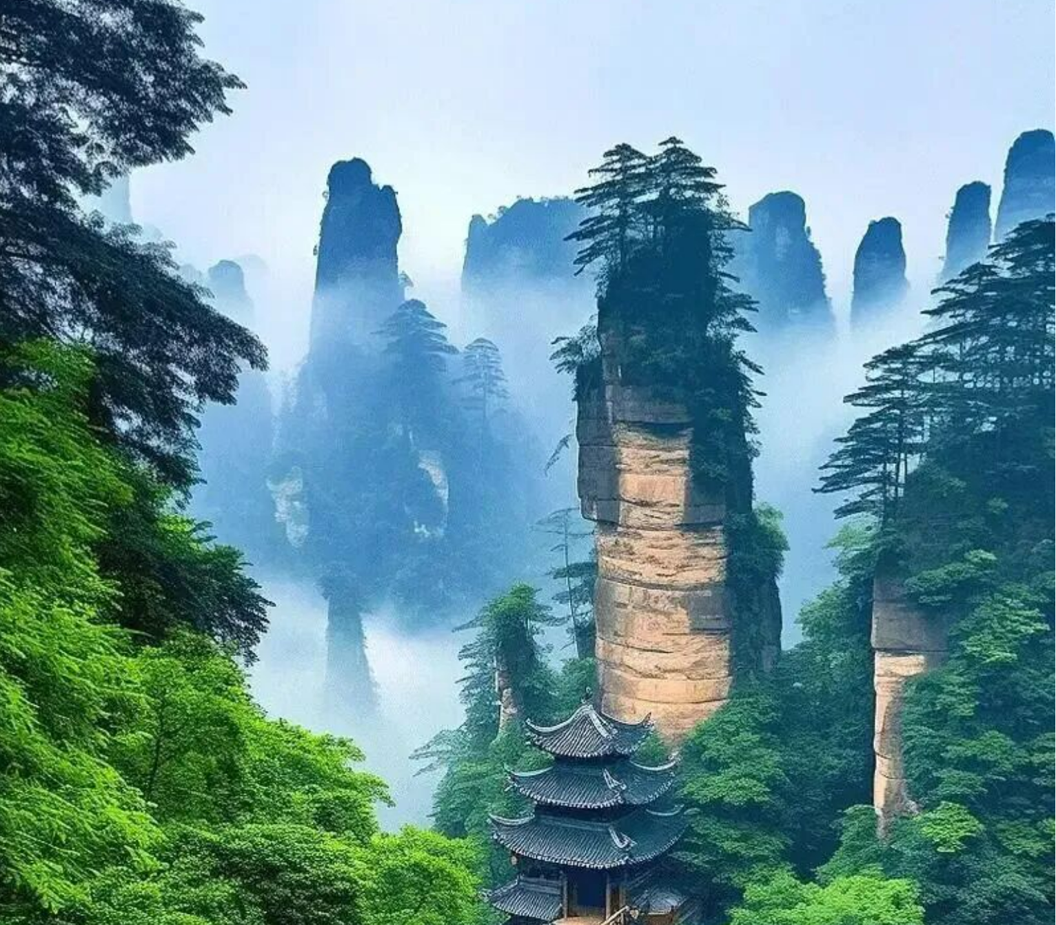 01a973da1909aff681b0810b0aa24762