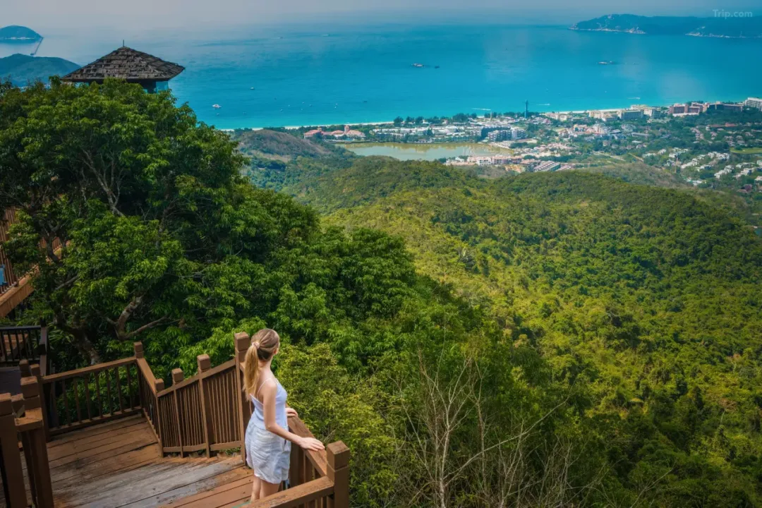 01f65b64c45e6857efe66d94db13e5f2-sz_1998679