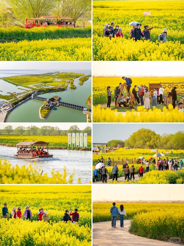 0259eecde656dc57c3ab6b53a2ecaf31-sz_1000788