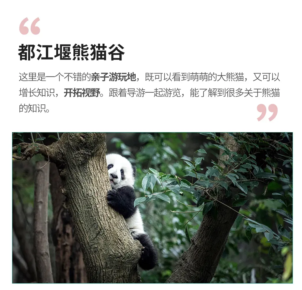 02625bf74ddf77b7735871ad4f3d905b-sz_1316920 02625bf74ddf77b7735871ad4f3d905b-sz_1316920