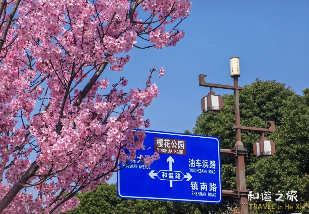 ☞【徜徉钟埭樱花小镇3日游】369元指定入住2晚海宁市区金豪曼国际酒店，打卡东湖景区/赞山良诸文化公园/徐志摩故居/南关厢，2自助早4正餐♥免费棋牌&KTV