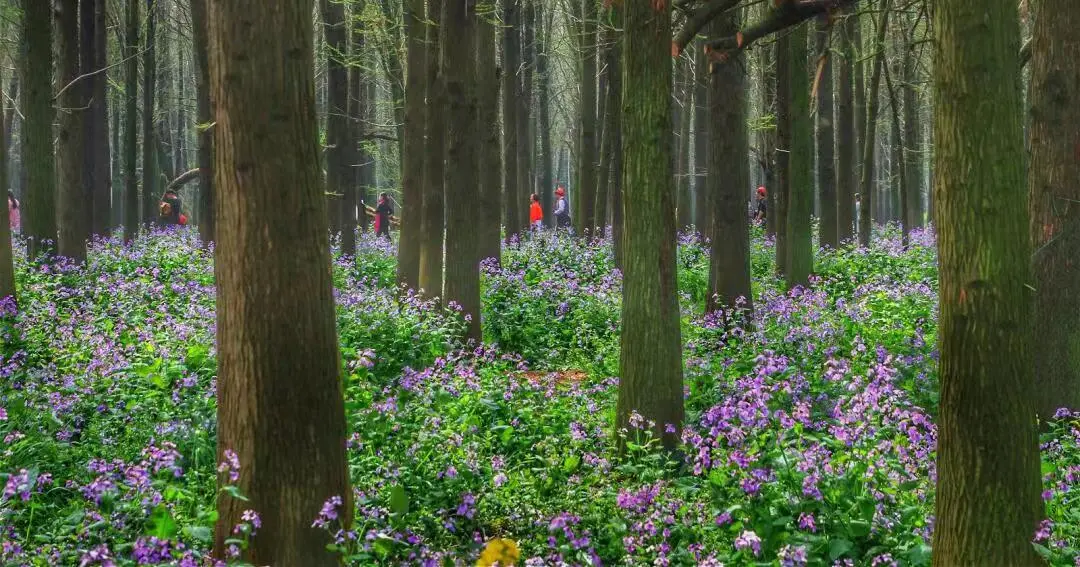 02ee4a41932bb7e7c1a27b9b2178ebe7-sz_159552