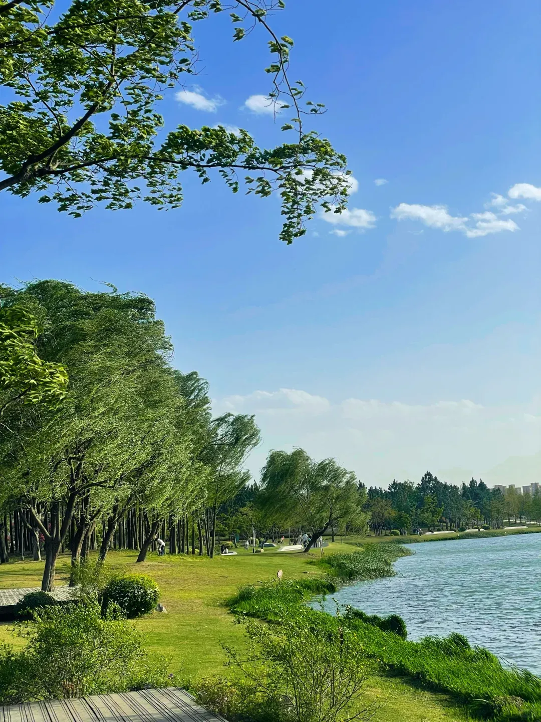 03242c41b12bd34f4043ba0423737a3b-sz_2451254