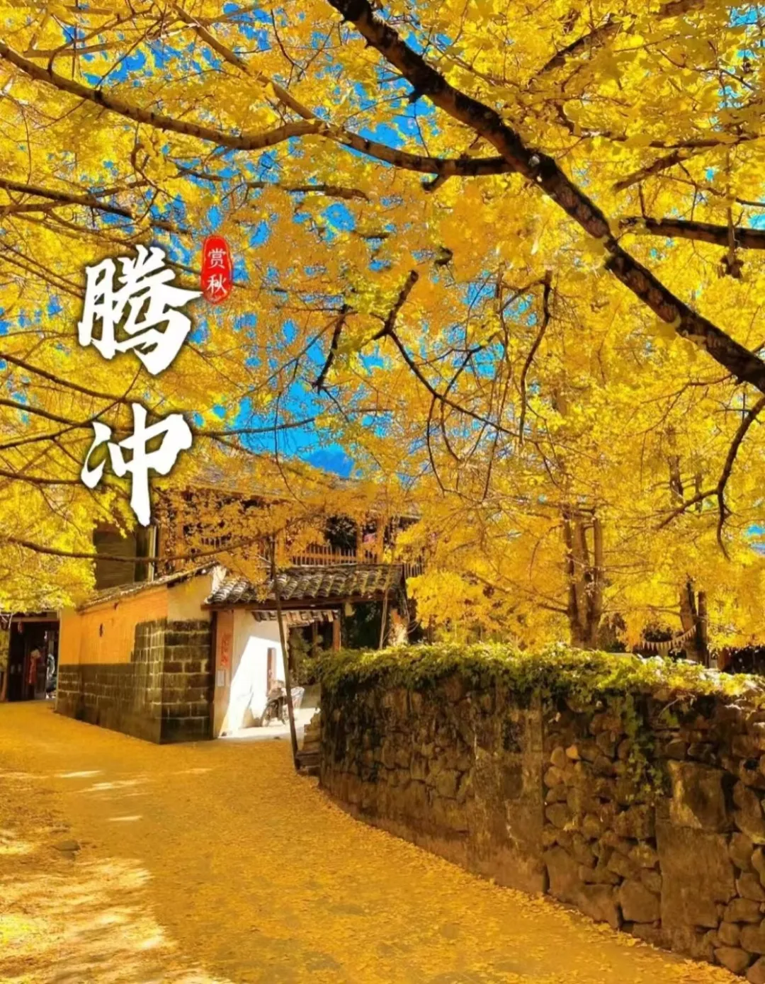 037184bf112d183c03b266cf48fdbd7f-sz_555509