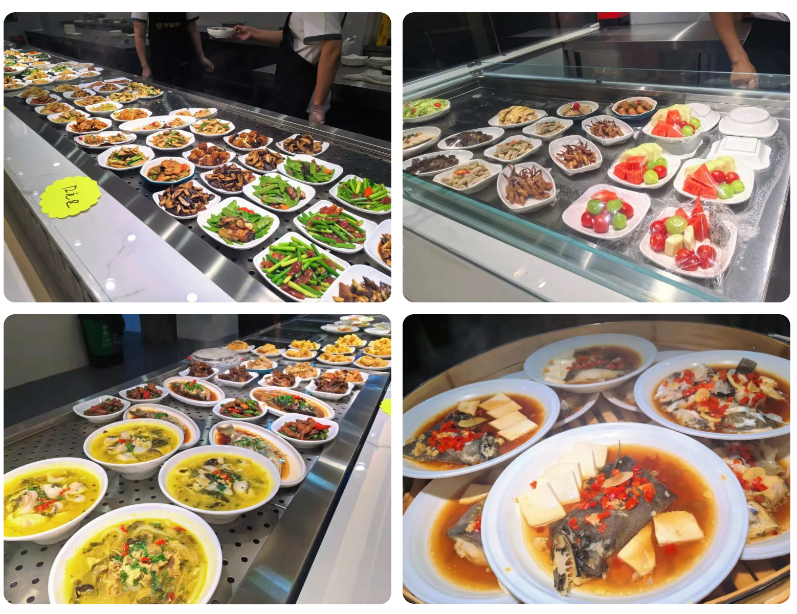 0384e321a9fdad55ff30b33876d4e643