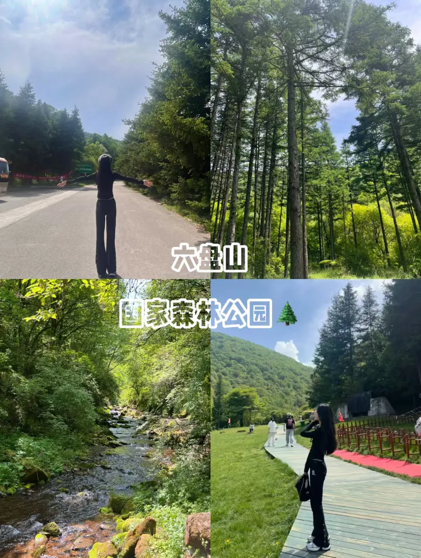 03c181bda1447e38f68490169c95d664-sz_1268657 03c181bda1447e38f68490169c95d664-sz_1268657