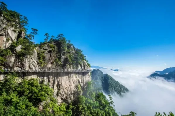 040711fb8ee1a44439f543c2c129898f-sz_485307