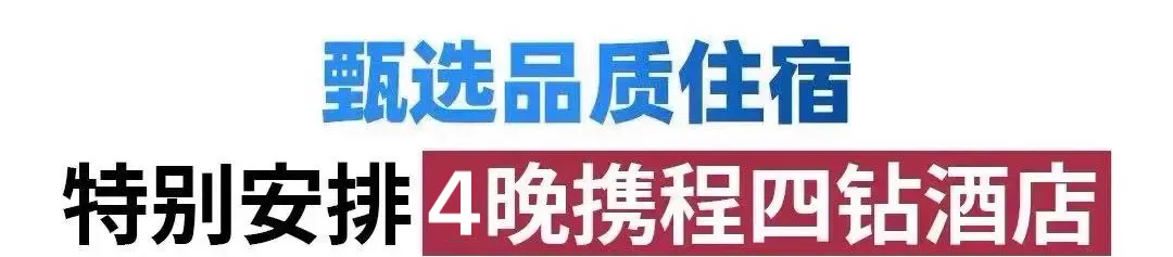 049f065103c84d438e6c6563d8541a11-sz_193205