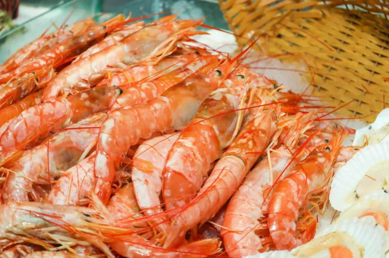 04cc49d09f1666077ca04af473447a9f-sz_1319595-1