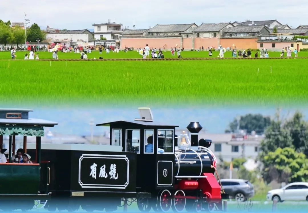 04cf460160db04bc4d80bc6994f6c930-sz_235720