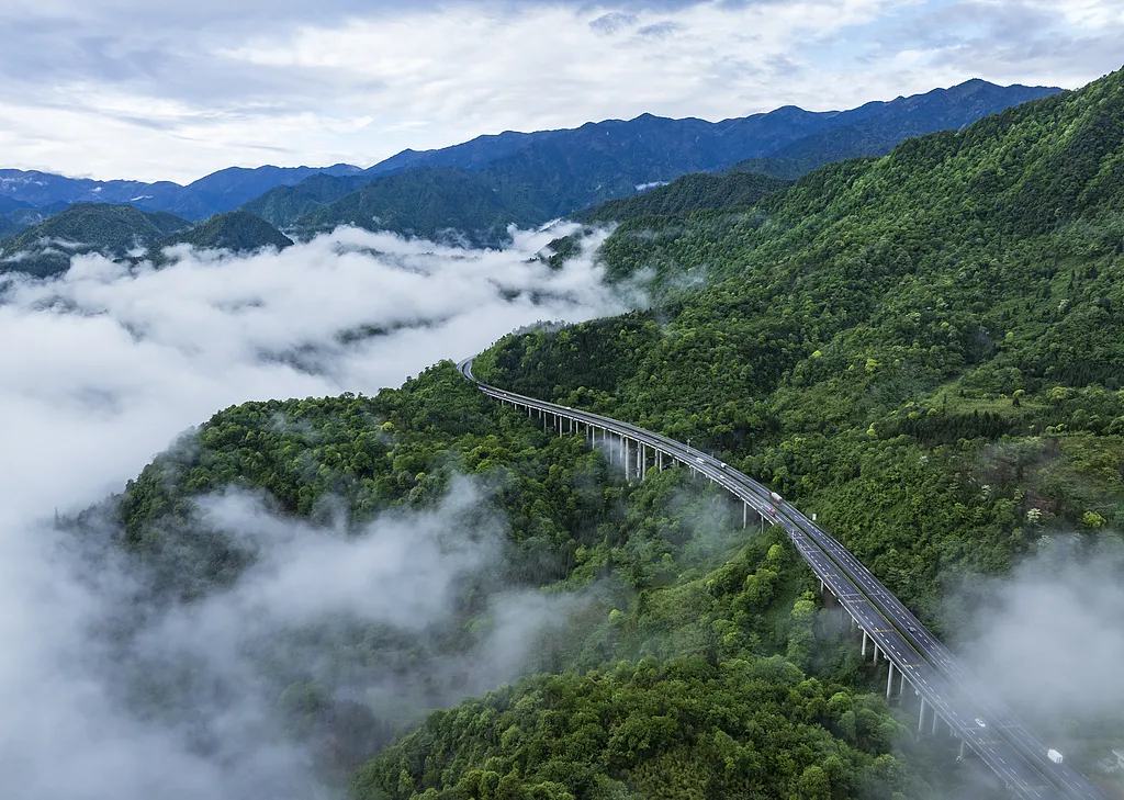 04dcdf11f159b3cffe72d96e844904bb-sz_919067