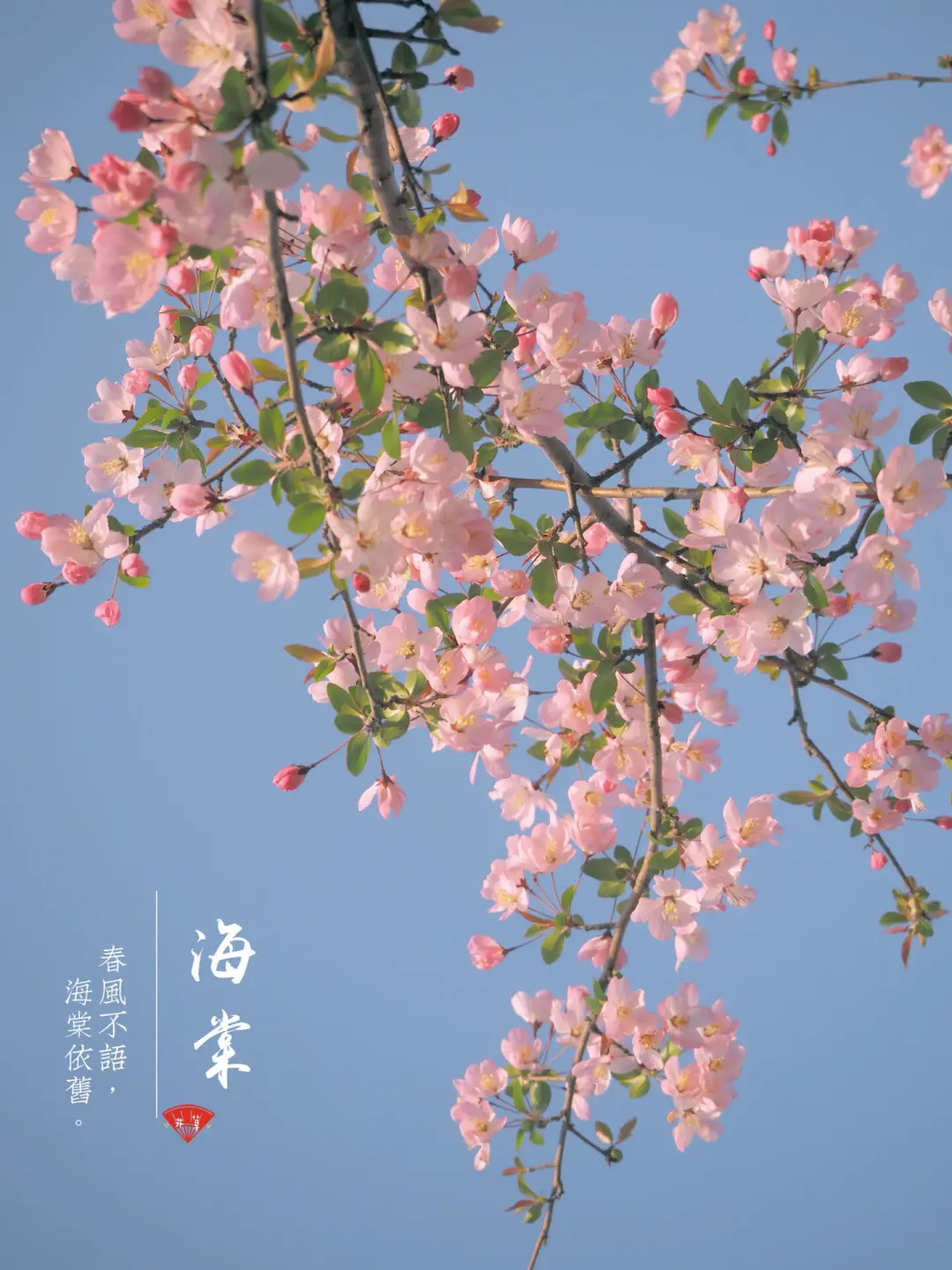 0547ceb2788029eb75dacd28196e833f-sz_328678