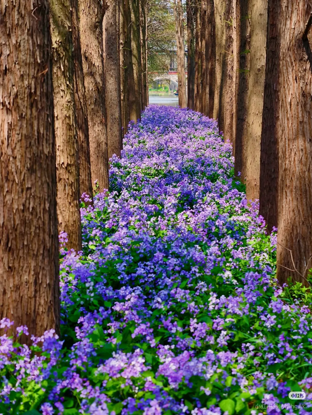 055223ead9a643bd41d86483ba9e112b-sz_2232580