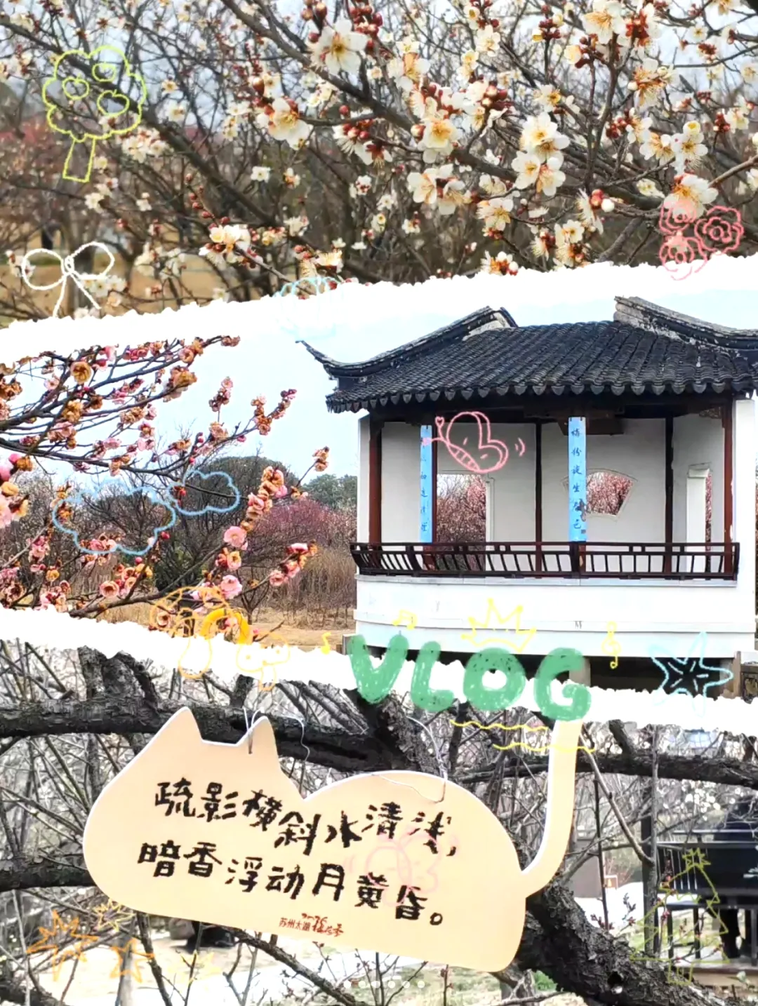 0573c68086e272e43adf2581b7411b05-sz_1490109