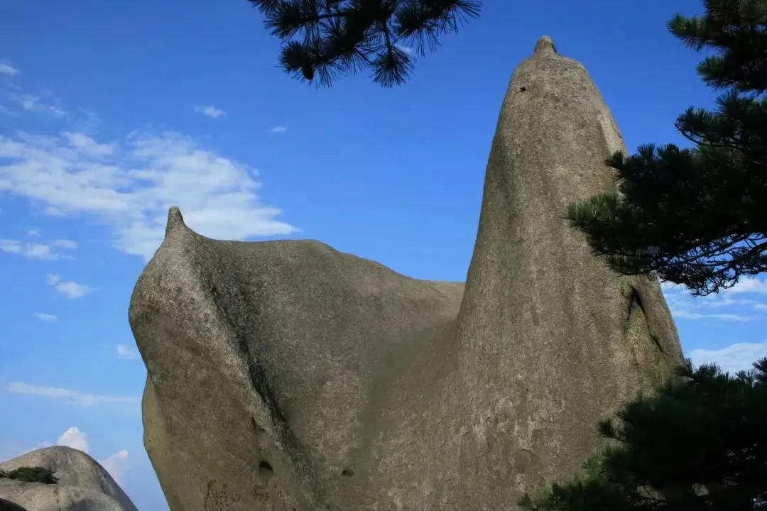 059f93d3689601136030be2cb0068442-sz_407173