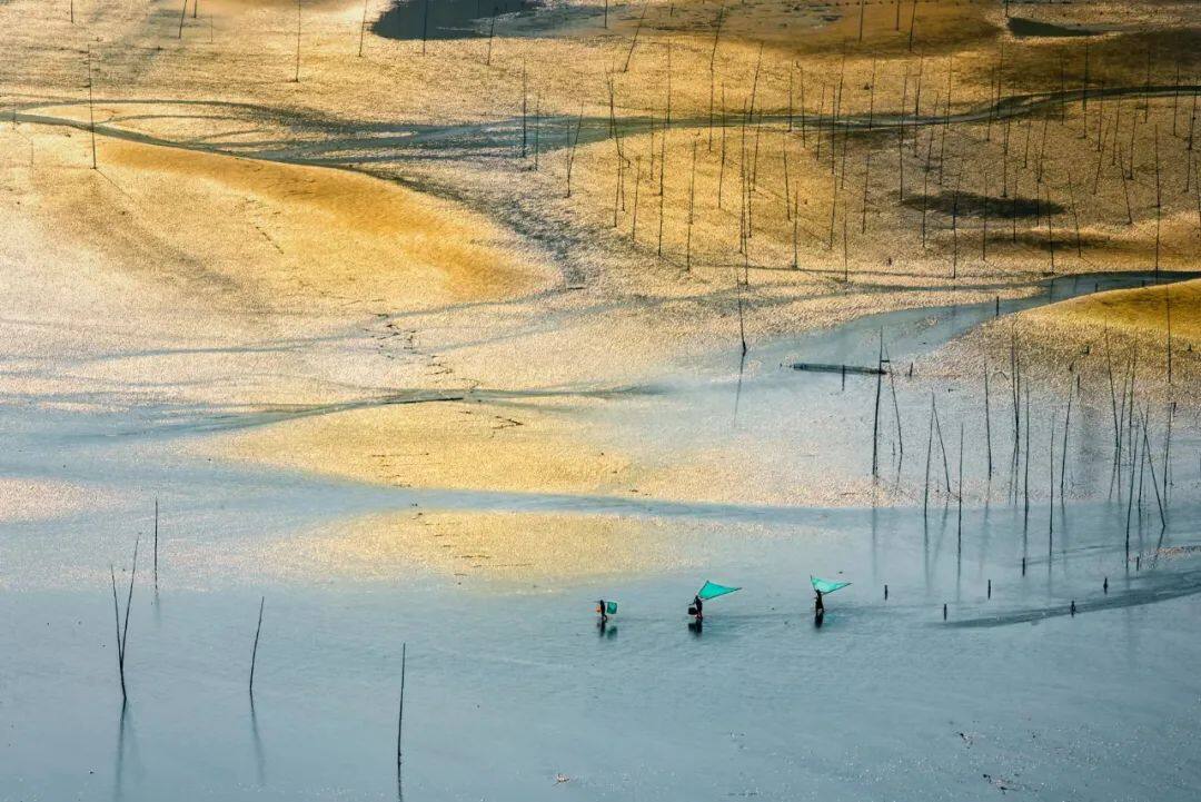 05d81d3f991c170cc4c7cf134b6c0439-sz_151060