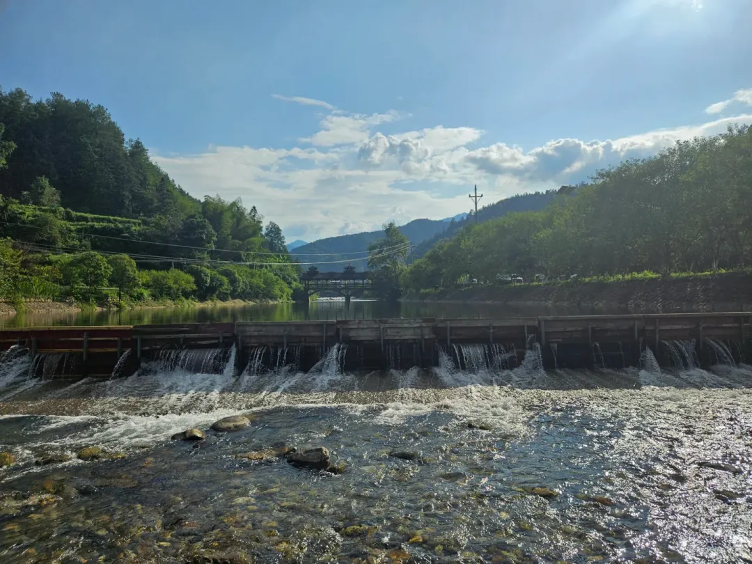 06229fd0a346a302c84e2360a4bc0c97-sz_2323001