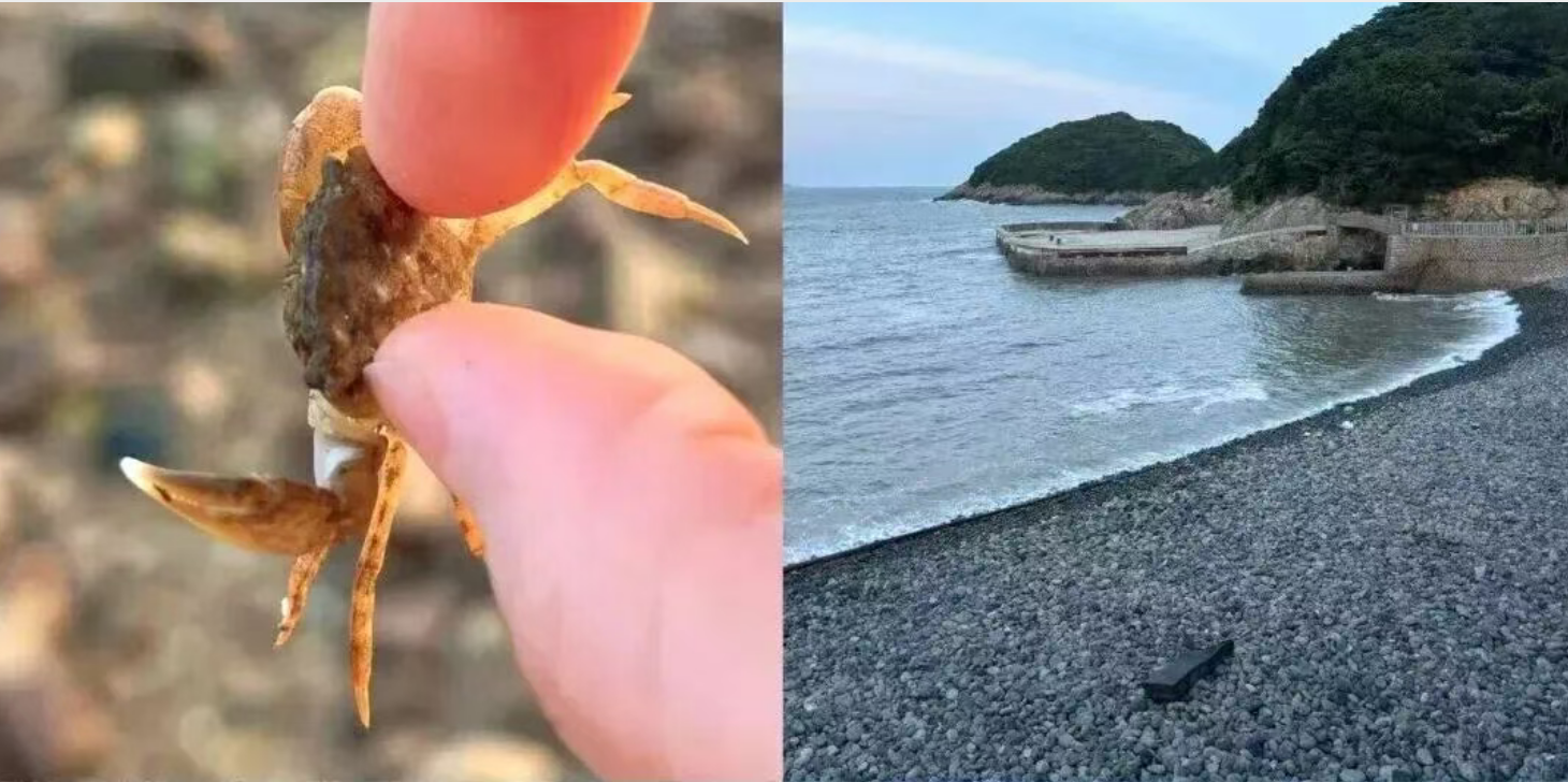 0623db96e77cdaa8edb49b449a2adf4b