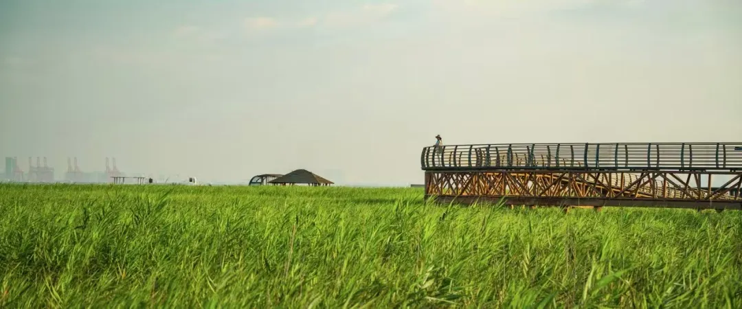 062414c5973dfb3d9701d6a9fbbf39d7-sz_188082