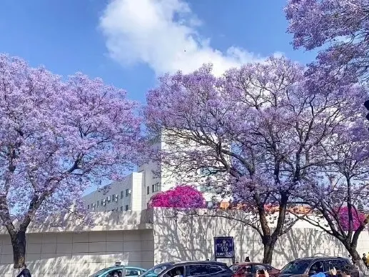 062e63538dd5d33d66adde489c7739fd-sz_220173