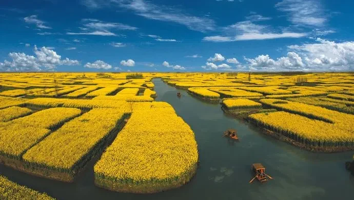 0634dbc902fba5c4b0a1452cc23907f7-sz_58334