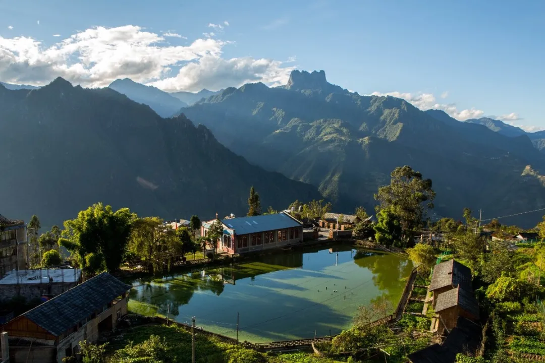 068a3c5fb737988f2ed6f9153272befc-sz_251250