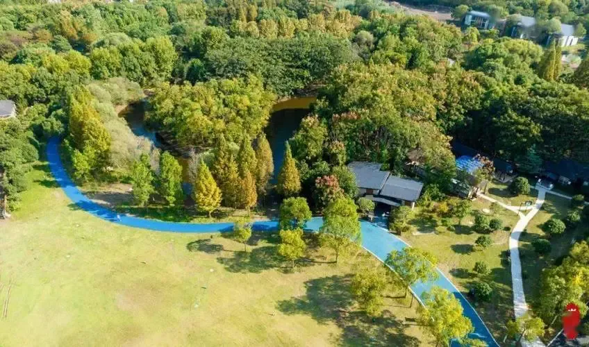 06c3fe4d94f062f21b55623237479249-sz_1239881