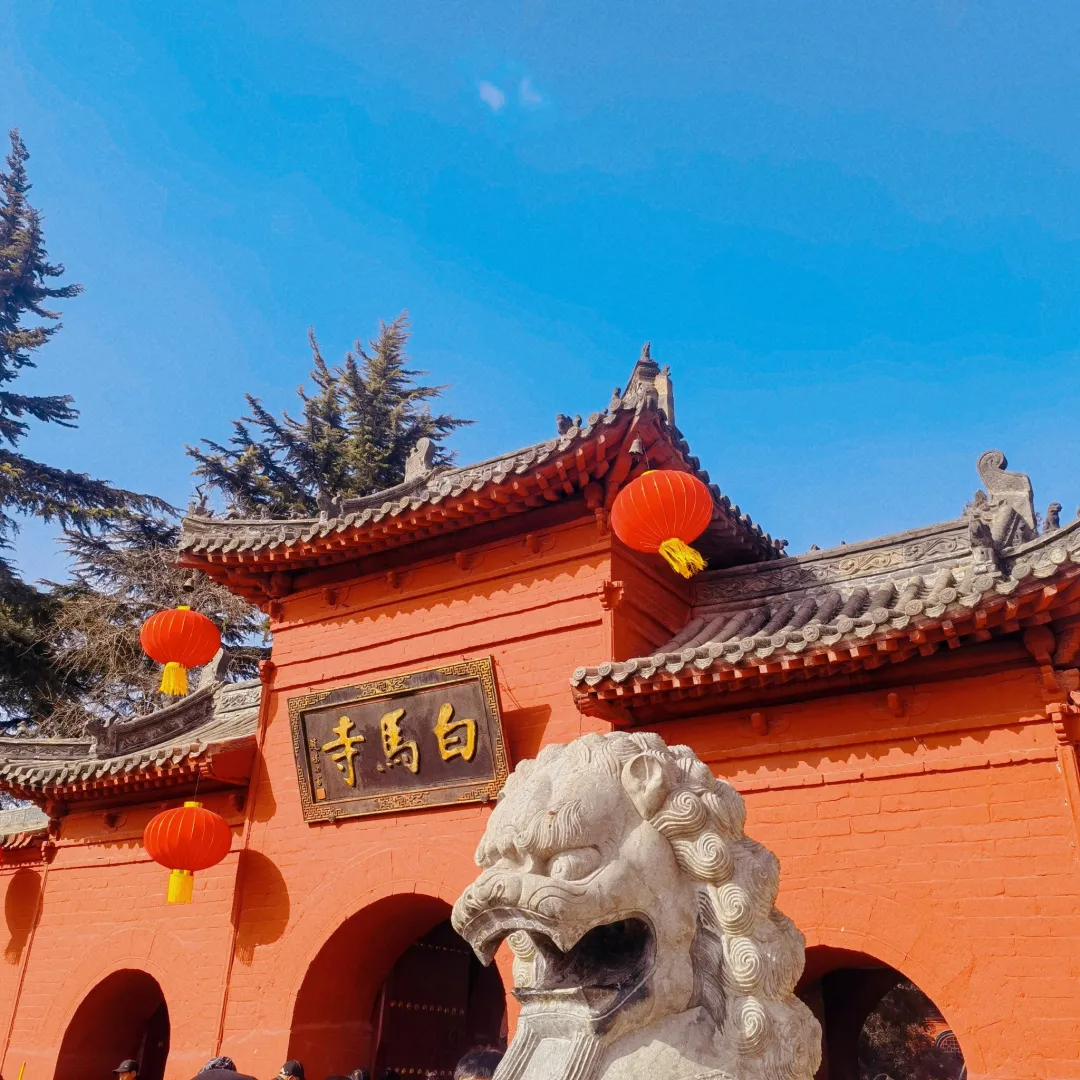 072010c361611047494596b36d7ef89f-sz_854224