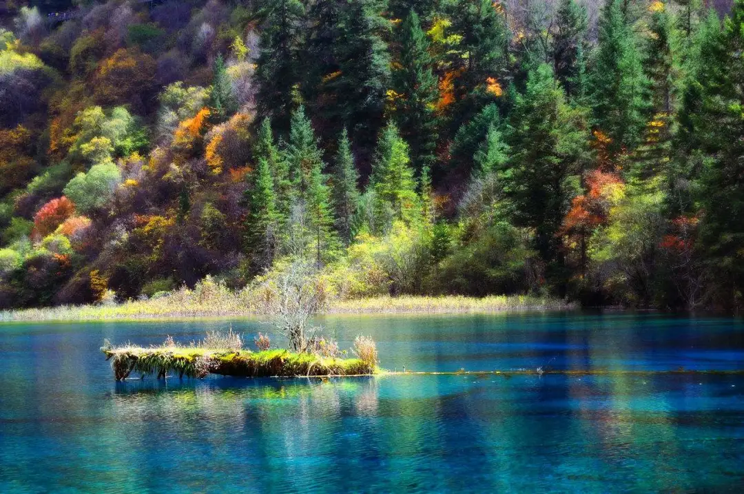 073026826b34dfb0755e83c900faa362-sz_254008 073026826b34dfb0755e83c900faa362-sz_254008