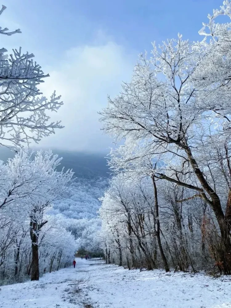 07dd40d159c80a0d441dabfdd84434fa-sz_3371477