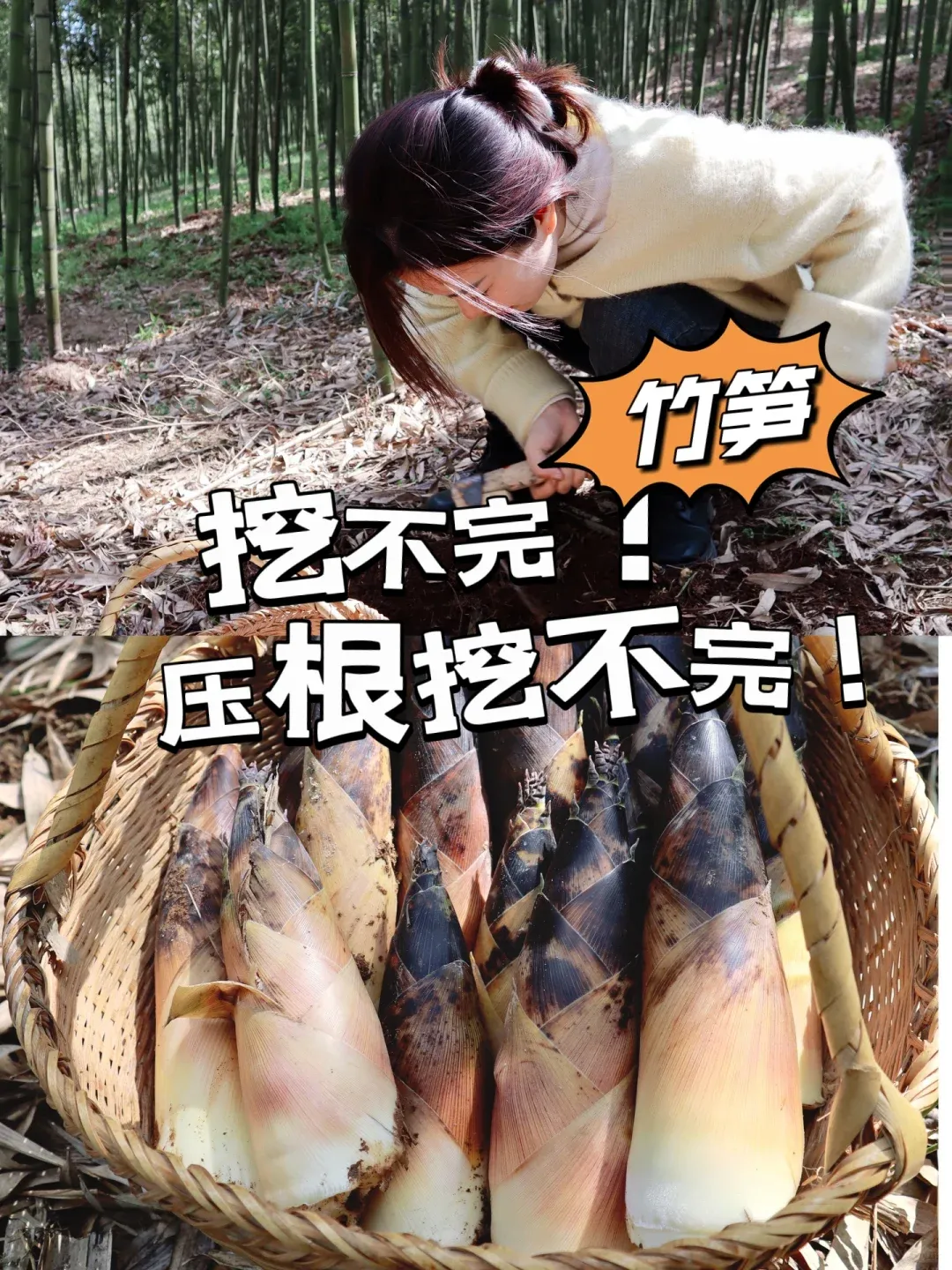 081611f5c9a64da1fa19c89d6c0300d9-sz_3894109