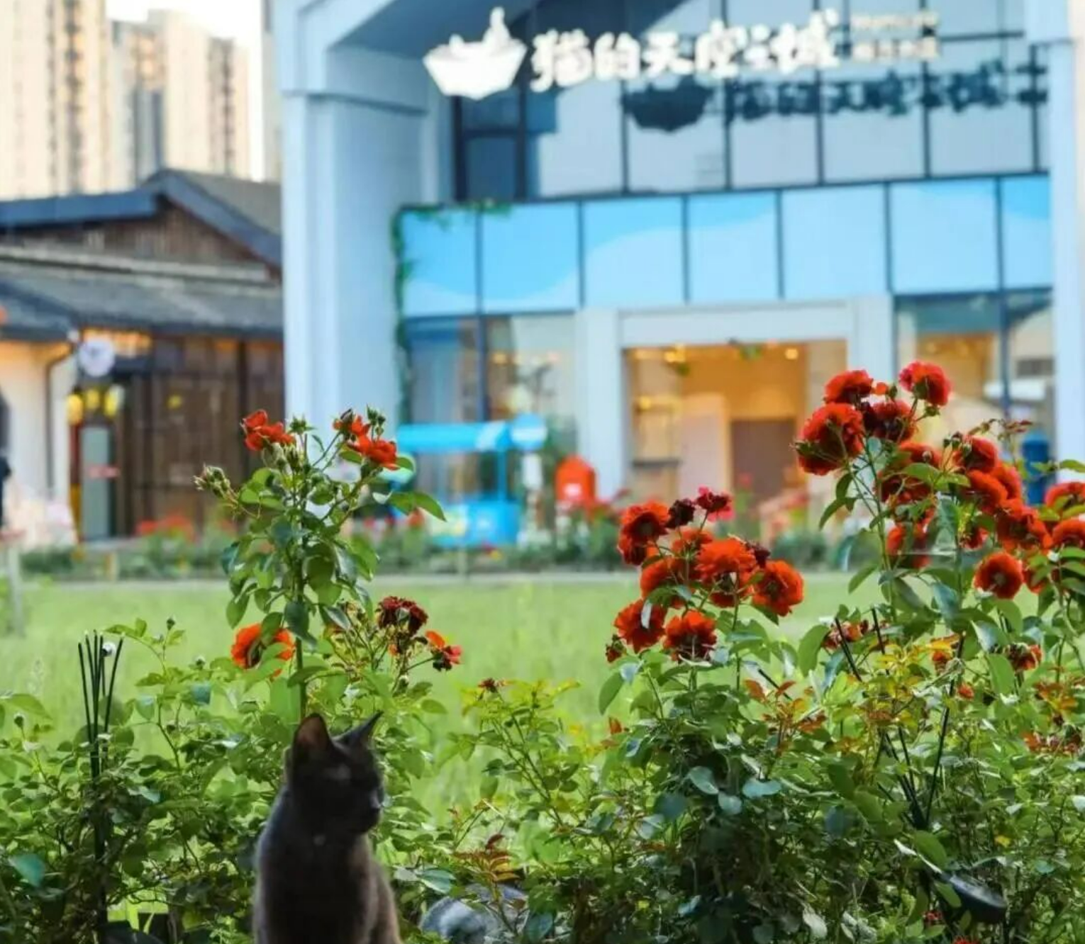 084de3616c93e0264a9193b432fcdefe