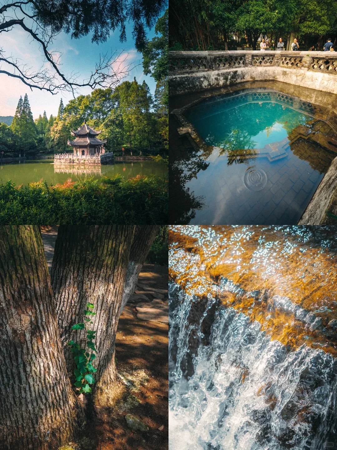 085cc228a109fc34ce7e801730cd48f7-sz_3384786