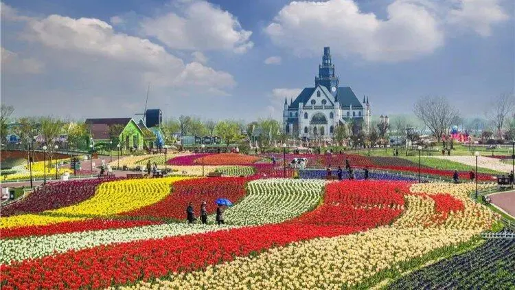 087e69ef467cbcc3b372aadde6ace862-sz_86169