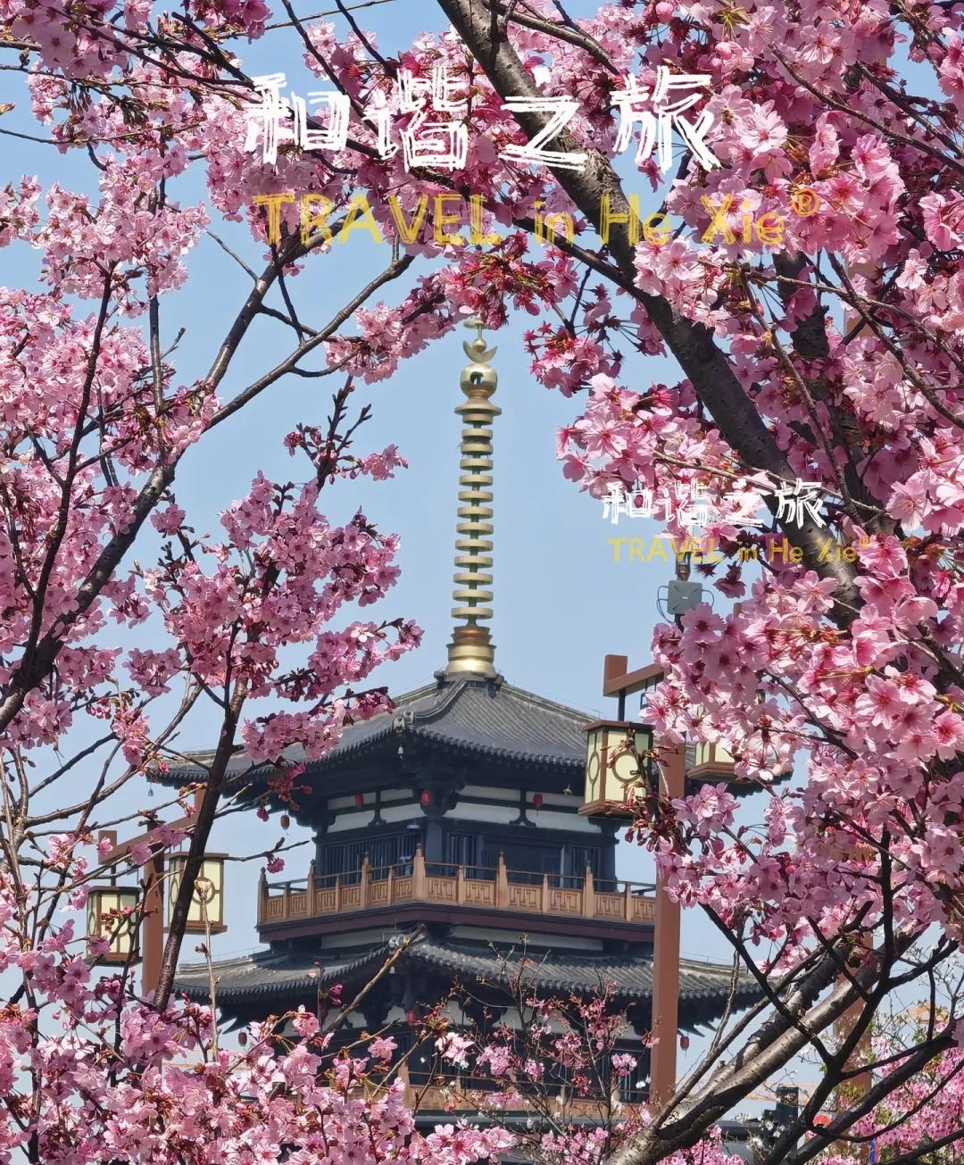 08b4ebcb0b3719d7615774ccd24981eb-sz_2483959