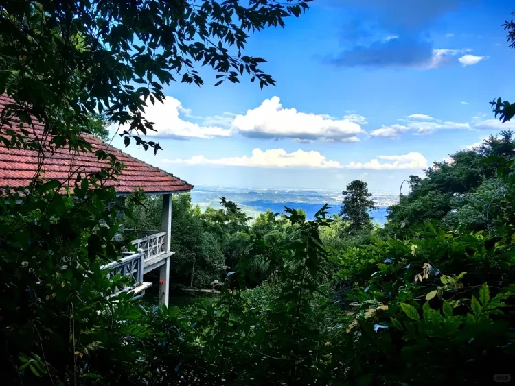 0967f9e9dc1b1a9003213295c194e667-sz_3037744