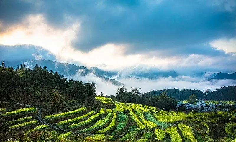 097c23b3ee7a0b68c6a8dafe5da921a9-sz_88441