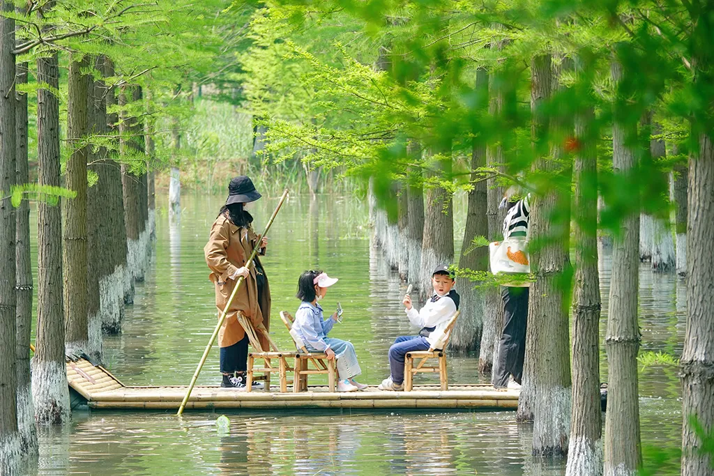 097eefe0e8e431df2b5ea887d4f8c363-sz_1502147