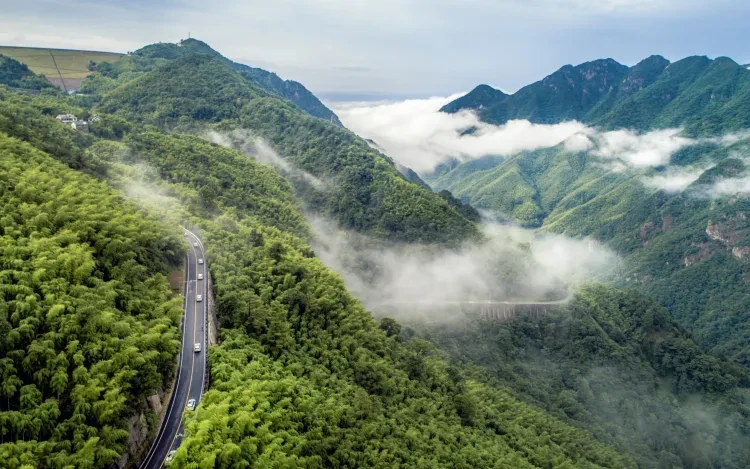 09b349e967321c7029373a34403151e0-sz_964994