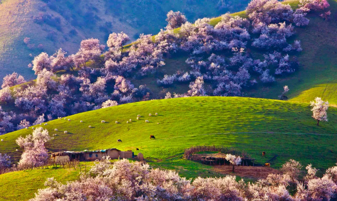 0a1da8c2358198ad04ed9f3c52b6959f-sz_4821485