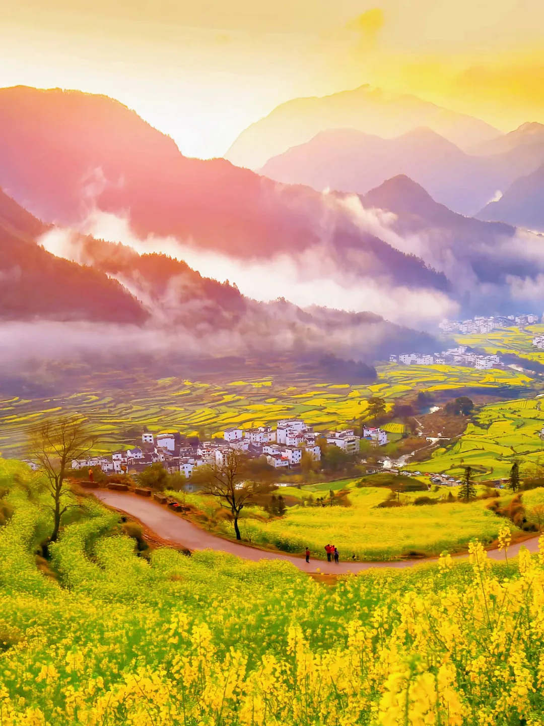 0a4b602d18a722044321de9d40dc6686-sz_3217793