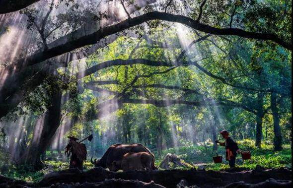 0a7b59e1862a767333c637a0f5e0f029-sz_63302