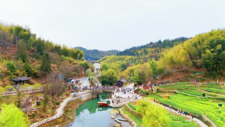 0ad70a0b239ecd417494fbe2a3f5e240-sz_1073230