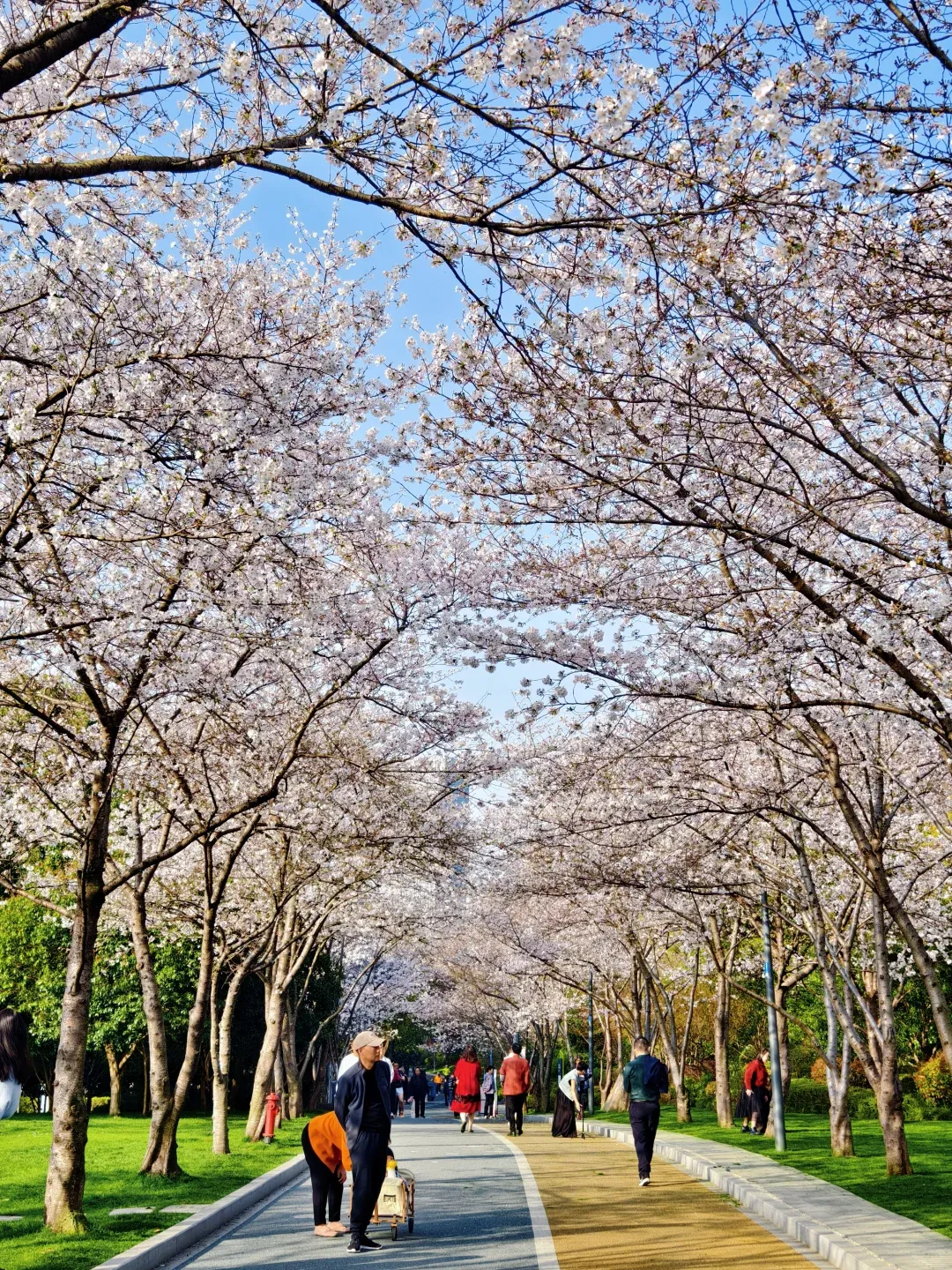 0ae2496550a496a1b9a14249967132db-sz_4424399